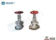 Stop Check Valve Stainless Steel 304  with  Manual Operation  Flanged Connection supplier