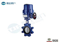 Cast Iron Wafer Butterfly Valve PN10 / PN 16 For Water Source Projects supplier