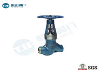 J61Y Globe Valve For High Temperature And High Voltage Power Stations supplier