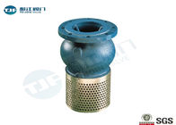 Compact Foot Valve Strainer DN50 - DN500 With Ductile Iron Body supplier