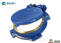 Double Hinge Flap Type Non Return Valve DN80 - DN600 For Sea Water Applications supplier