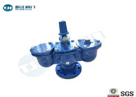 Automatic Air Release Valves PN 25 With Double Orifice And Integrated Valve supplier