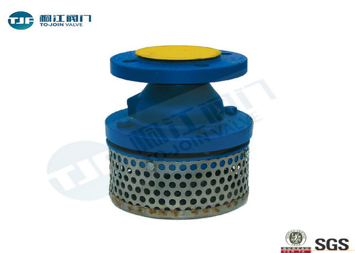 Compact Foot Valve Strainer DN50 - DN500 With Ductile Iron Body supplier