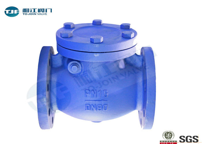 Cast Steel Swing Type Non Return Valve DIN 3840 With Flanged End Connections supplier