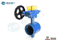 220V AC Electric Actuated Butterfly Valve , Viton Lined Grooved End Butterfly Valve supplier
