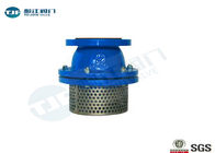 Cast Iron Body Flanged Non Return Foot Valve With Stainless Strainer PN10 Class supplier
